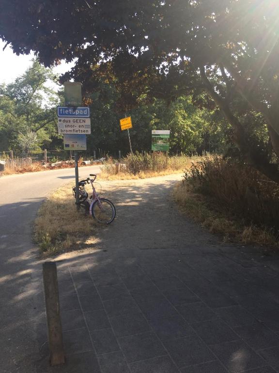 Antonia beach house room 6